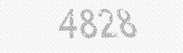 Visual security code — type the characters shown in the image