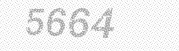 Visual security code — type the characters shown in the image