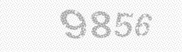 Visual security code — type the characters shown in the image